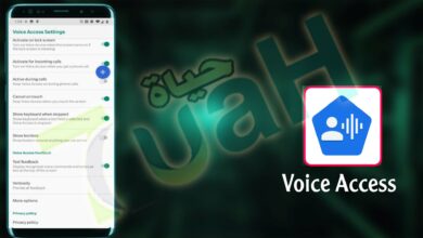 تحميل تطبيق Voice Access فويس اكسس apk للاندرويد اخر اصدار 2024